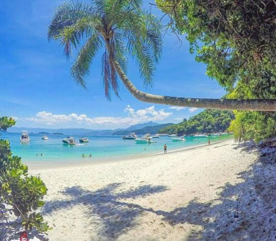 Angra dos Reis – RJ | Bate e Volta — foto 1