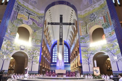 Aparecida | Bate e Volta — foto 8