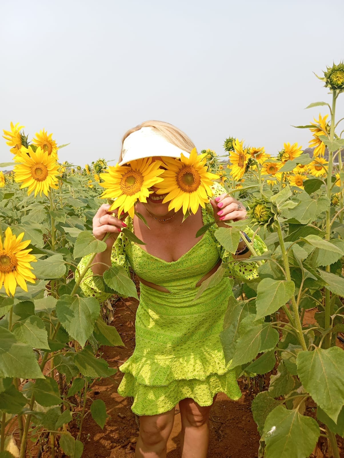 Holambra – Cidade das Flores — foto 4