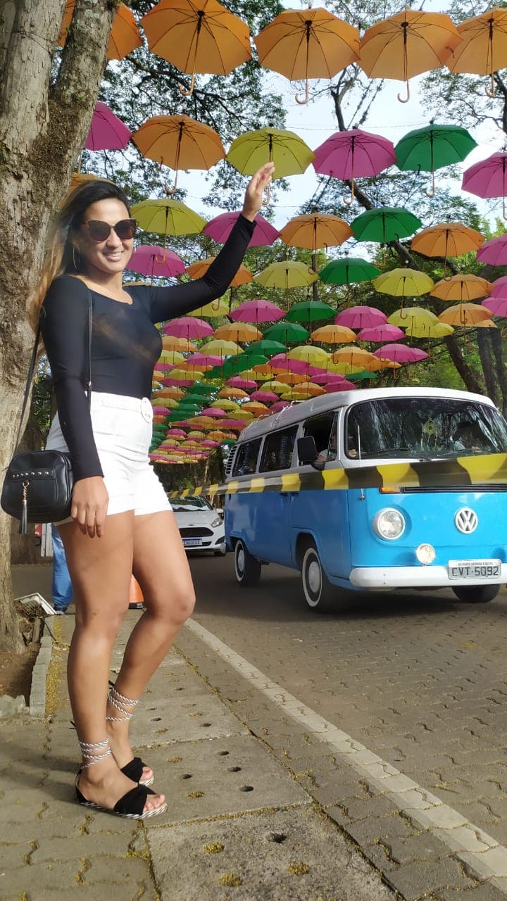 Holambra – Cidade das Flores — foto 8