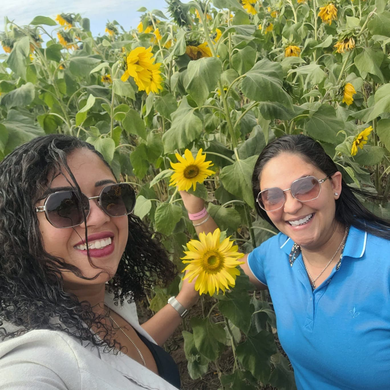 Holambra – Cidade das Flores — foto 10
