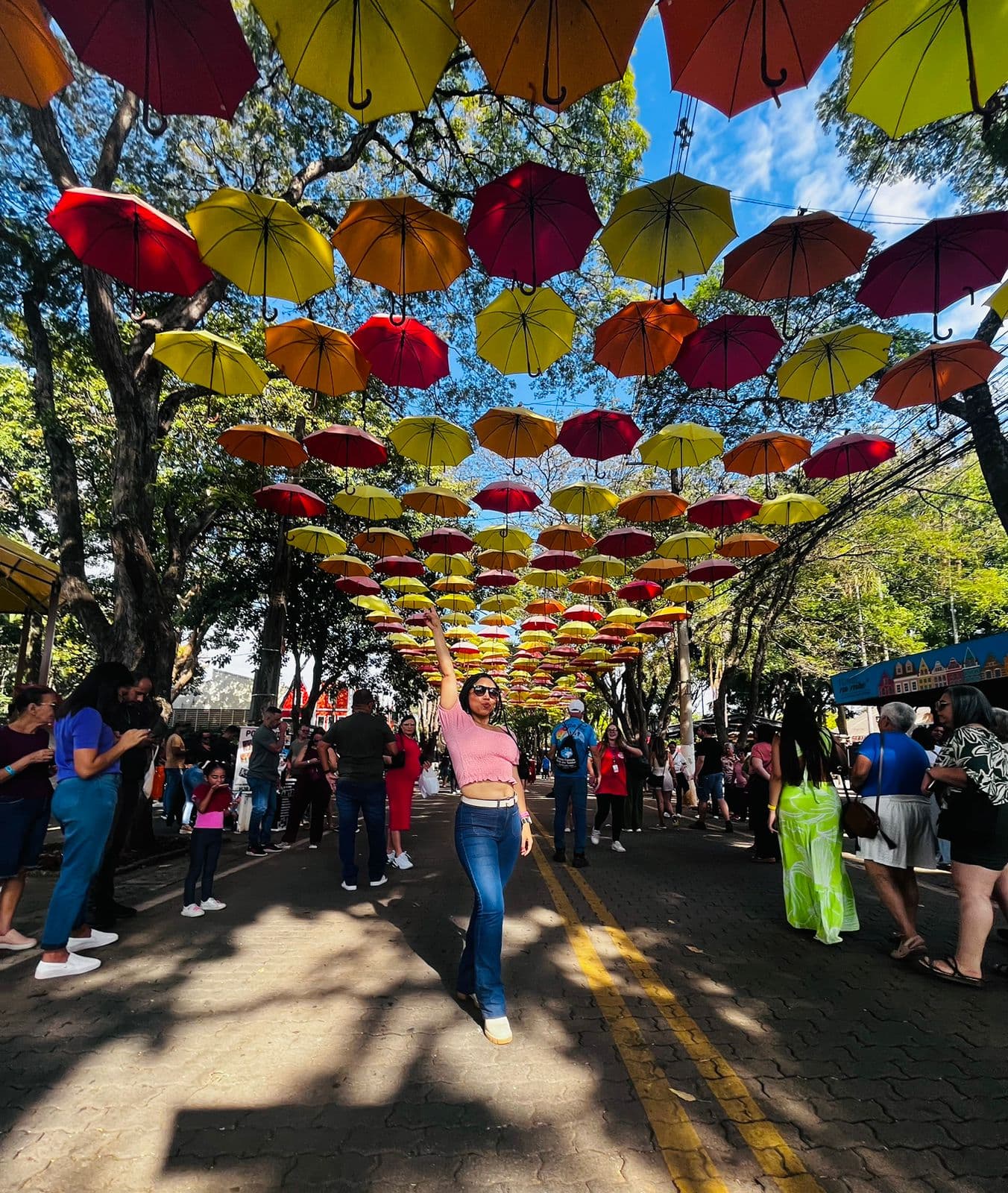 Holambra – Cidade das Flores — foto 13