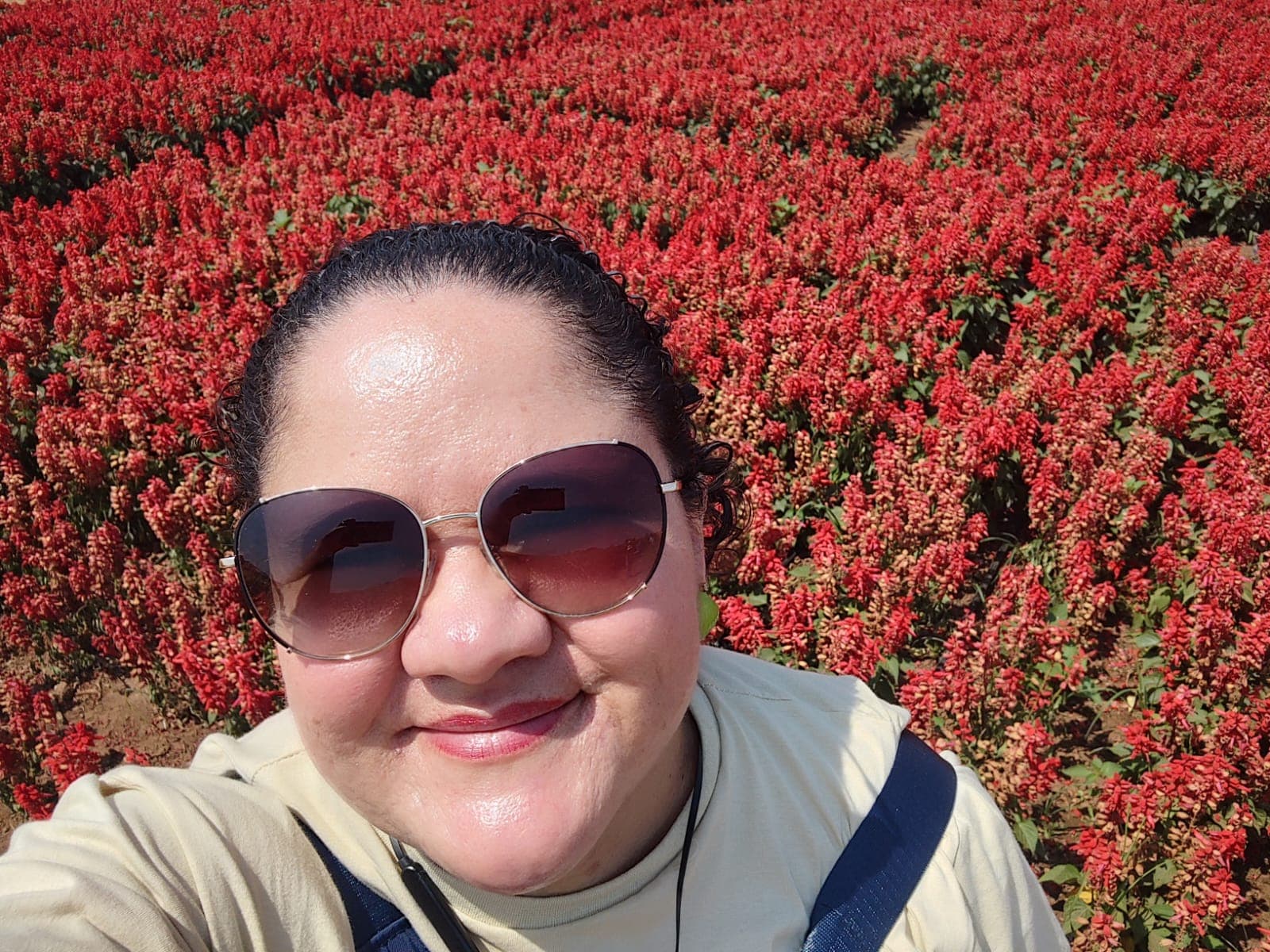 Holambra – Cidade das Flores — foto 16