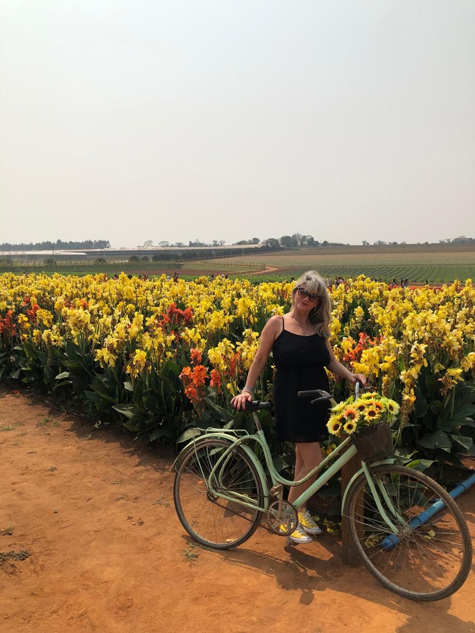 Holambra – Cidade das Flores — foto 18