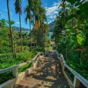Guarujá – SP | Bate e Volta — foto 12