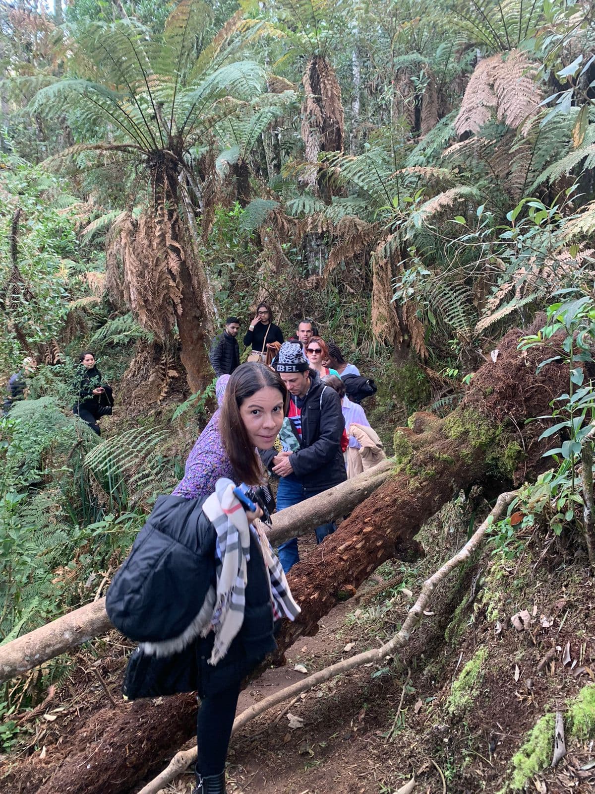 Monte Verde - MG | Bate e Volta — foto 19