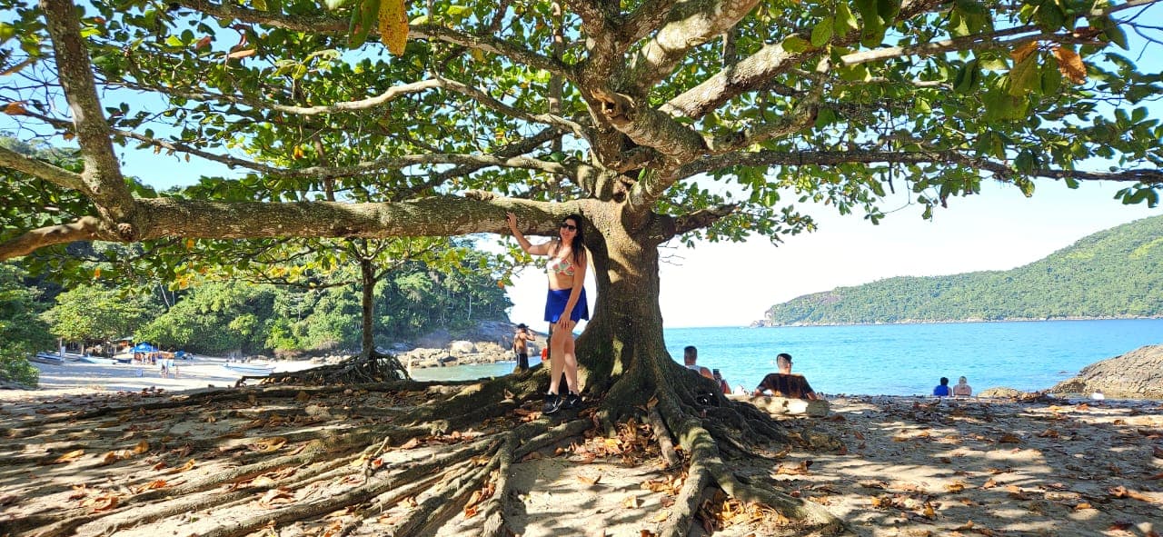 Trindade – RJ | Bate-Volta — foto 15