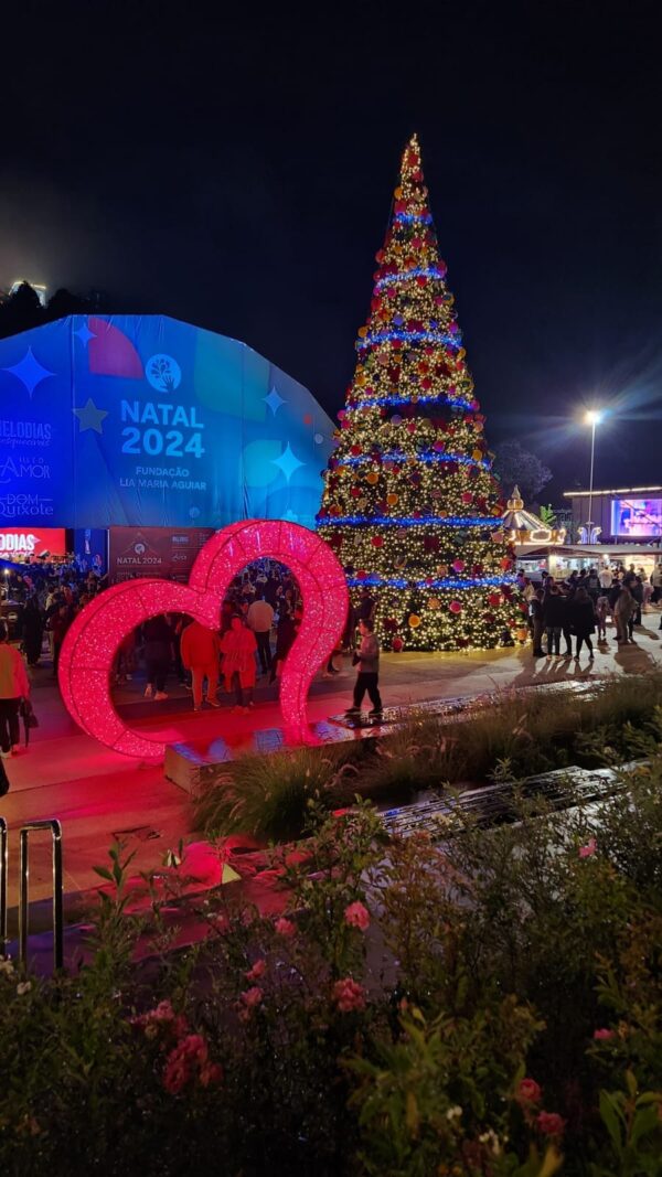 Campos do Jordão - Natal Iluminado | Bate e Volta - Imagem 9