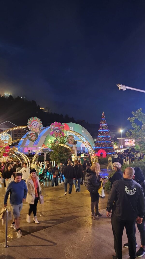 Campos do Jordão - Natal Iluminado | Bate e Volta - Imagem 12