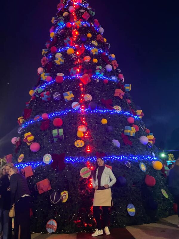 Campos do Jordão - Natal Iluminado | Bate e Volta - Imagem 3